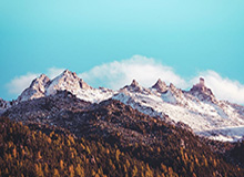 开云真人娱乐官网-湖人连续达成50胜赛季 自09-10&amp;amp;10-11赛季后首次